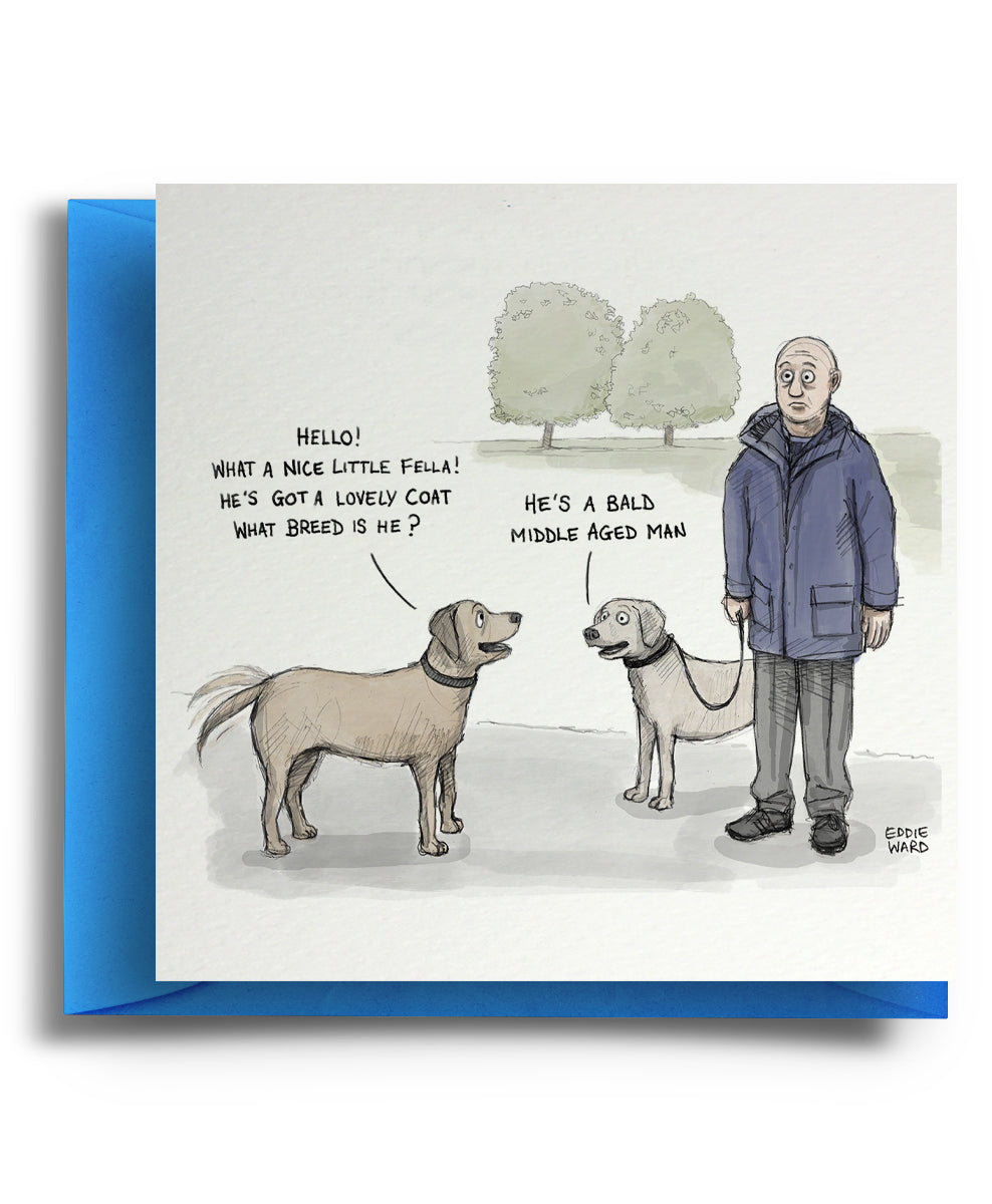 Bald Breed - Cartoon