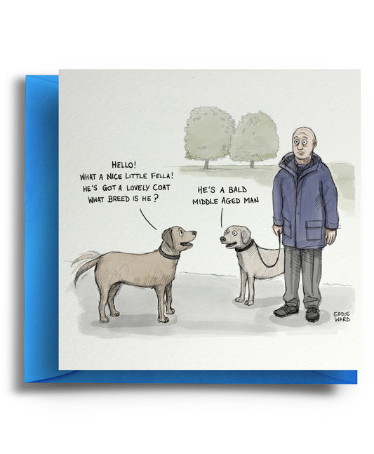 Bald Breed - Cartoon