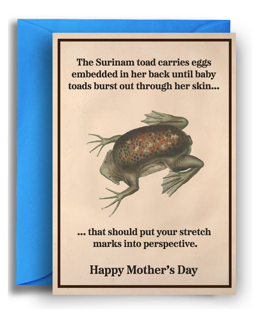Toad - Mother's Day Card