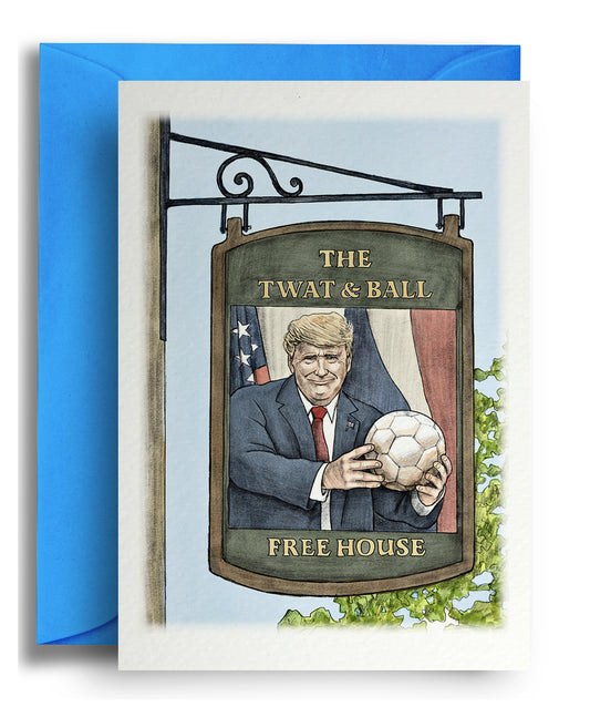 The Twat and Ball - Pub Sign