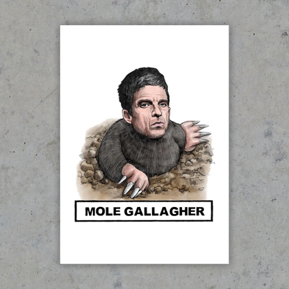 Mole Gallagher - Art Print